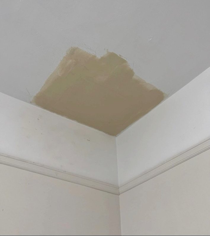 Ceiling access hatch patched, ready for paint